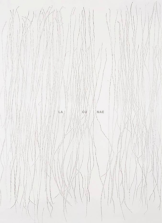 Lacunae - Katharina Hinsberg