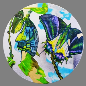 Dirk Klose - Dirk Klose - Shattered butterfly: Goldener Kaiserschmetterling (Vietnam) Dirk Klose
