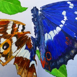 Dirk Klose - Dirk Klose - Shattered butterfly: Großer Schillerfalter, versal, dorsal Dirk Klose